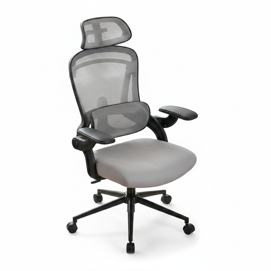 Chaise Ergonomique Posture+